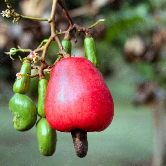 Photo du lieu de production